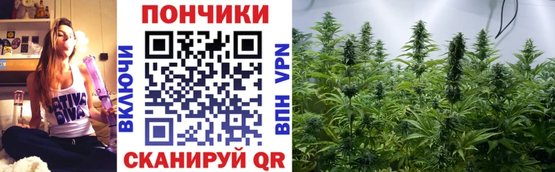 A-PVP Богданович