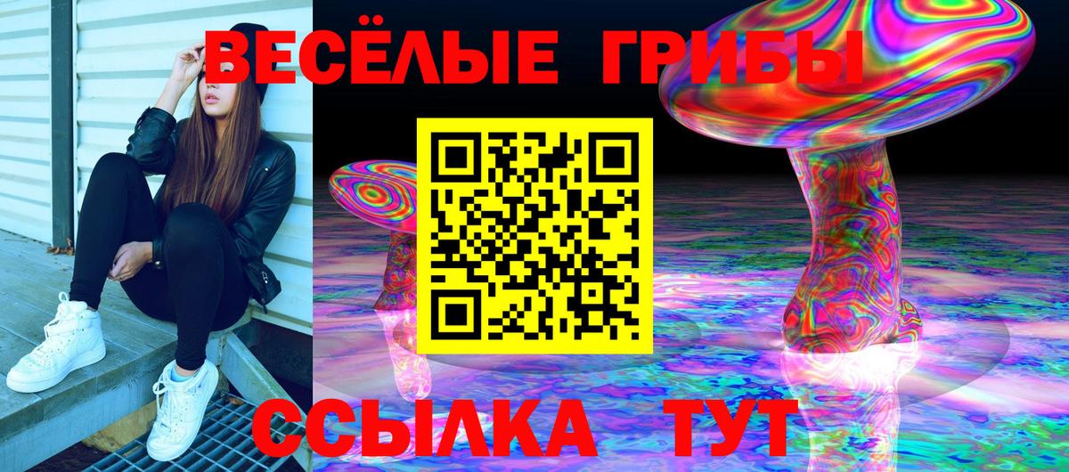 Псилоцибиновые грибы Magic Shrooms Богданович