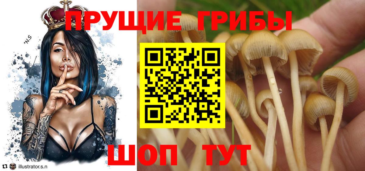 Галлюциногенные грибы Magic Shrooms  Богданович 