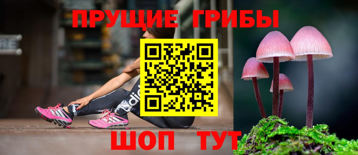 Псилоцибиновые грибы MAGIC MUSHROOMS  Галлюциногенные грибы ЛСД  Вход с VPN  Богданович 