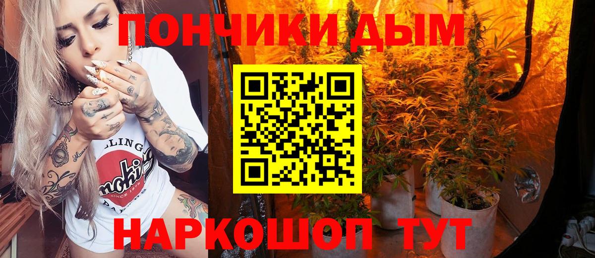 Бошки Шишки ГИДРОПОН  Вход с VPN  Богданович  МАРИХУАНА тримм  Бошки марихуана сатива 